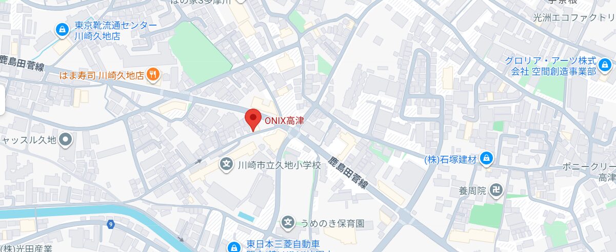 オニキス高津　グーグルマップ
